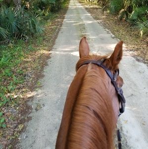 Meet your Posher, Lindsay